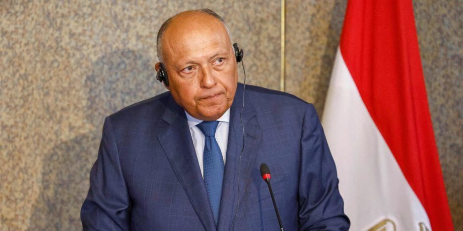 سامح شكرى أمام مجلس الأمن: حل القضية الفلسطينية ليس التهجير لمناطق أخرى