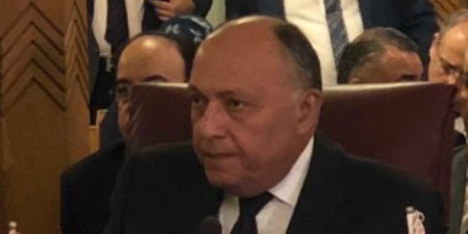 سامح شكرى: ندعو لوقف فوري لإطلاق النار في قطاع غزة دون قيد أو شرط