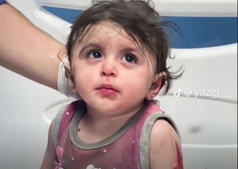 شاهد.. عمر كمال يتفاعل مع الطفلة الفلسطينية شام