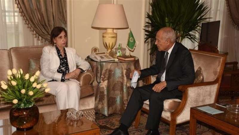 أبو الغيط يبحث أزمة غزة مع اقتصادية الأمم المتحدة لغربي آسيا