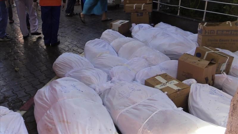 الصحة الفلسطينية: ارتفاع حصيلة ضحايا القصف الإسرائيلي على غزة لـ8796 شهيداً