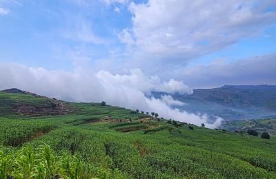 أخبار اليمن : أجواء باردة وأمطار متفرقة في هذه المناطق