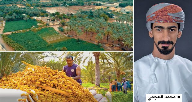 بمشاركة 42 عملا سينمائيا انطلاق مهرجان الباطنة السينمائي الدولي فـي نسخته الثانية بنخل