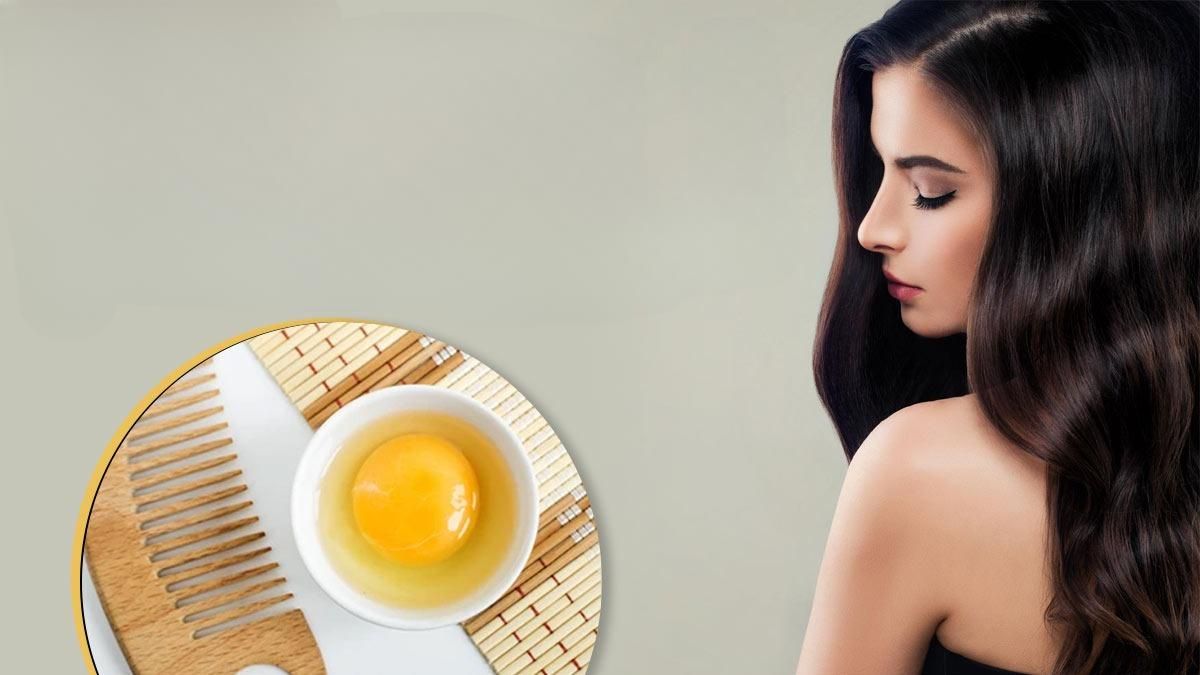طريقة عمل شامبو البيض الطبيعي المغذي للشعر في البيت