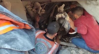 أخبار اليمن : غزة.. 316 شهيداً خلال 24 ساعة