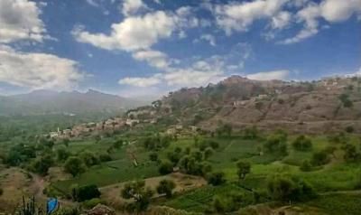 أخبار اليمن : طقس شديد البرودة يُسيطر على هذه المحافظات