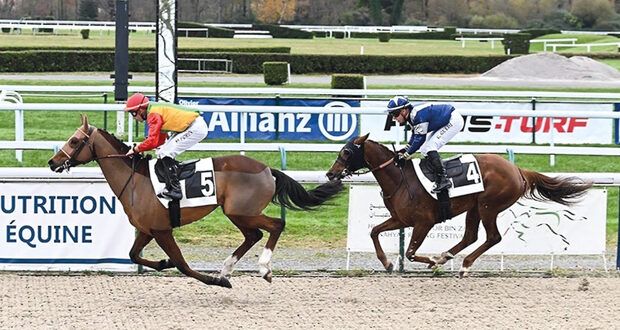 الحصان «كريم» يفوز بكأس مجلس أبو ظبي الرياضي على مضمار باو الفرنسي