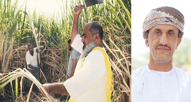 «الزيج» فيلم عماني يتوَّج بالمرتبة الأولى بالجزائر