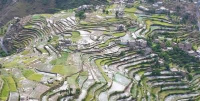 أخبار اليمن : الطقس مشمس ولكن إحذروا الصقيع