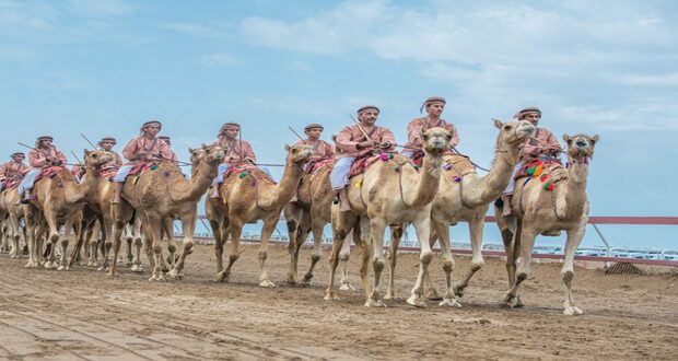 تسجيل الهجّانة السُّلطانية بقائمة التراث الثقافي غير المادي بـ(الإيسيسكو)