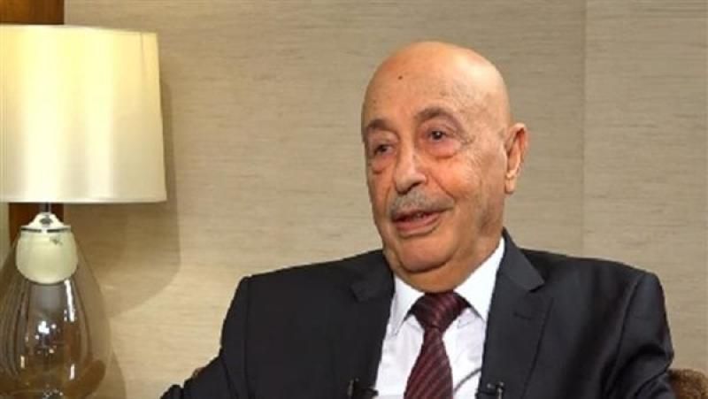 النواب الليبي: ندعم الجهود الدولية للحد من مخاطر الهجرة غير الشرعية