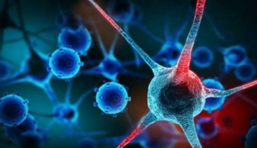 سعر هاتف Vivo Y100 5G الجديد