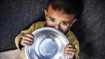 أخبار اليمن : الأغذية العالمي: سكان غزة يعيشون كارثة إنسانية