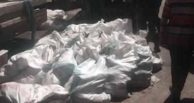 أخبار اليمن : إتلاف 600 كيلو من الأسماك في صنعاء