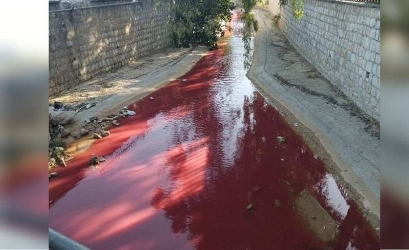 المملكة تشهد ظهور علامة مخيفة من "علامة يوم القيامة..مشهد مرعب