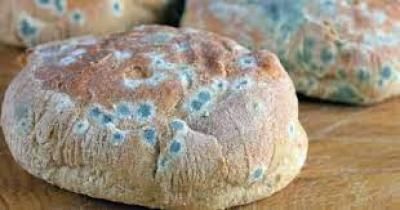 أخبار اليمن : أطعمة يمكن تناولها حتى لو كانت متعفنة.. تعرف عليها