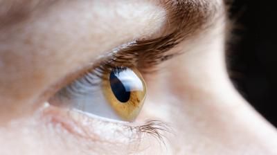 "رابط مفاجئ" بين بكتيريا الأمعاء وفقدان البصر