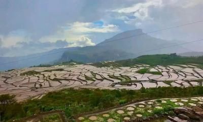 أخبار اليمن : أمطار غزيرة وضباب.. والأرصاد يحذر المواطنين