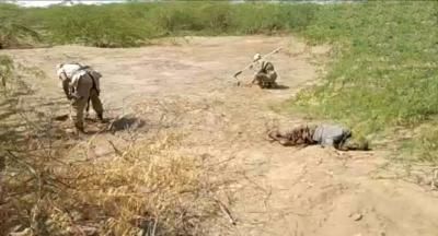 أخبار اليمن : حصيلة ضحايا مخلفات العدوان بالحديدة خلال 2023