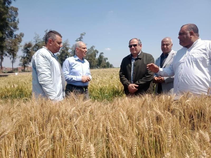 الزراعة: تابع العمل في المحطات البحثية وتربية التقاوى والتلقيح الاصطناعي والحجر...