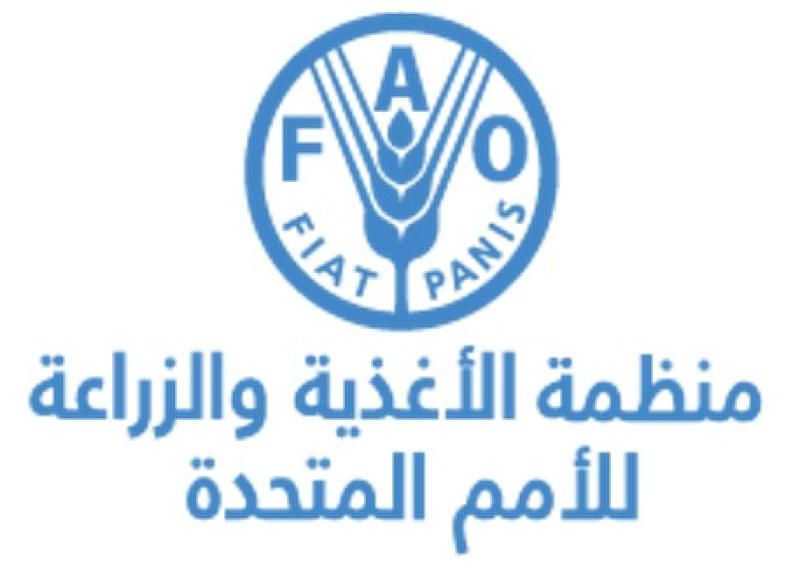 الفاو: خطر المجاعة يحوم على السودان ونقص حاد فى التمويل