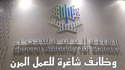 متاح في كافة محافظات السعودية .. الهيئة العامة للإحصاء توفر وظائف شاغرة للعمل المرن بتلك الشروط