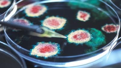 أخبار اليمن : كورونا يعود من جديد بسلالة شرسة