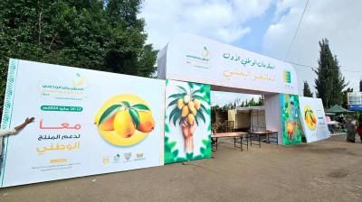 أخبار اليمن : المهرجان الوطني الأول للمانجو في يومه الثاني.. انطباعات مشاركين
