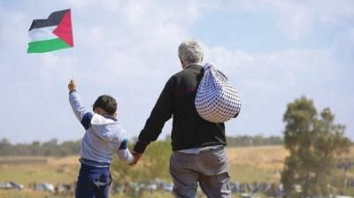 أخبار اليمن : أونروا: 630 ألف فلسطيني أجبروا على الفرار من رفح