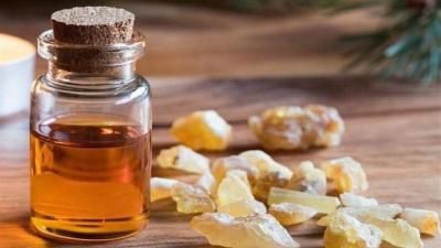 أخبار اليمن : 5 فوائد صحية غير متوقعة لزيت لبان الدكر