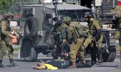 أخبار اليمن : 12 شهيداً بينهم 4 أطفال في جنين