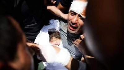 أخبار اليمن : ارتفاع عدد الشهداء في غزة إلى 35903