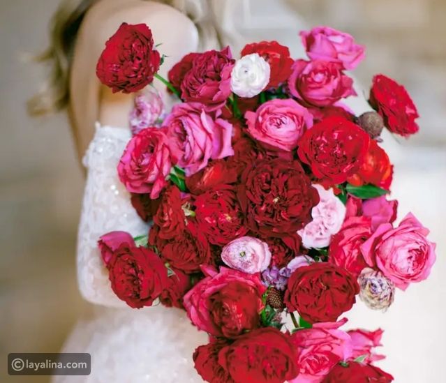 ما هو الورد الأحمر المفضل لكِ بين هذه الزهور؟