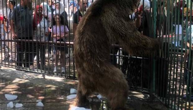 4000 زائر لـ حديقة حيوان الإسكندرية خلال أول أيام العيد