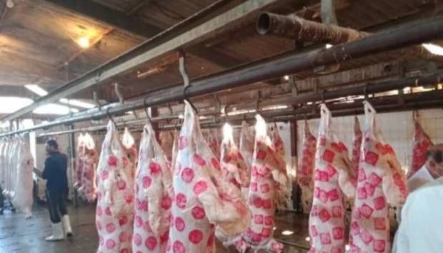 في أول يوم.. ذبح 922 أضحية بمجازر الغربية بالمجان للمواطنين