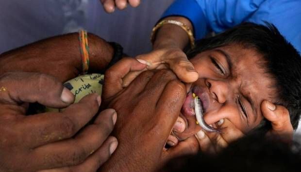 أم هندية تجبر ابنتها على ابتلاع سمكة حية.. تعرف على السبب