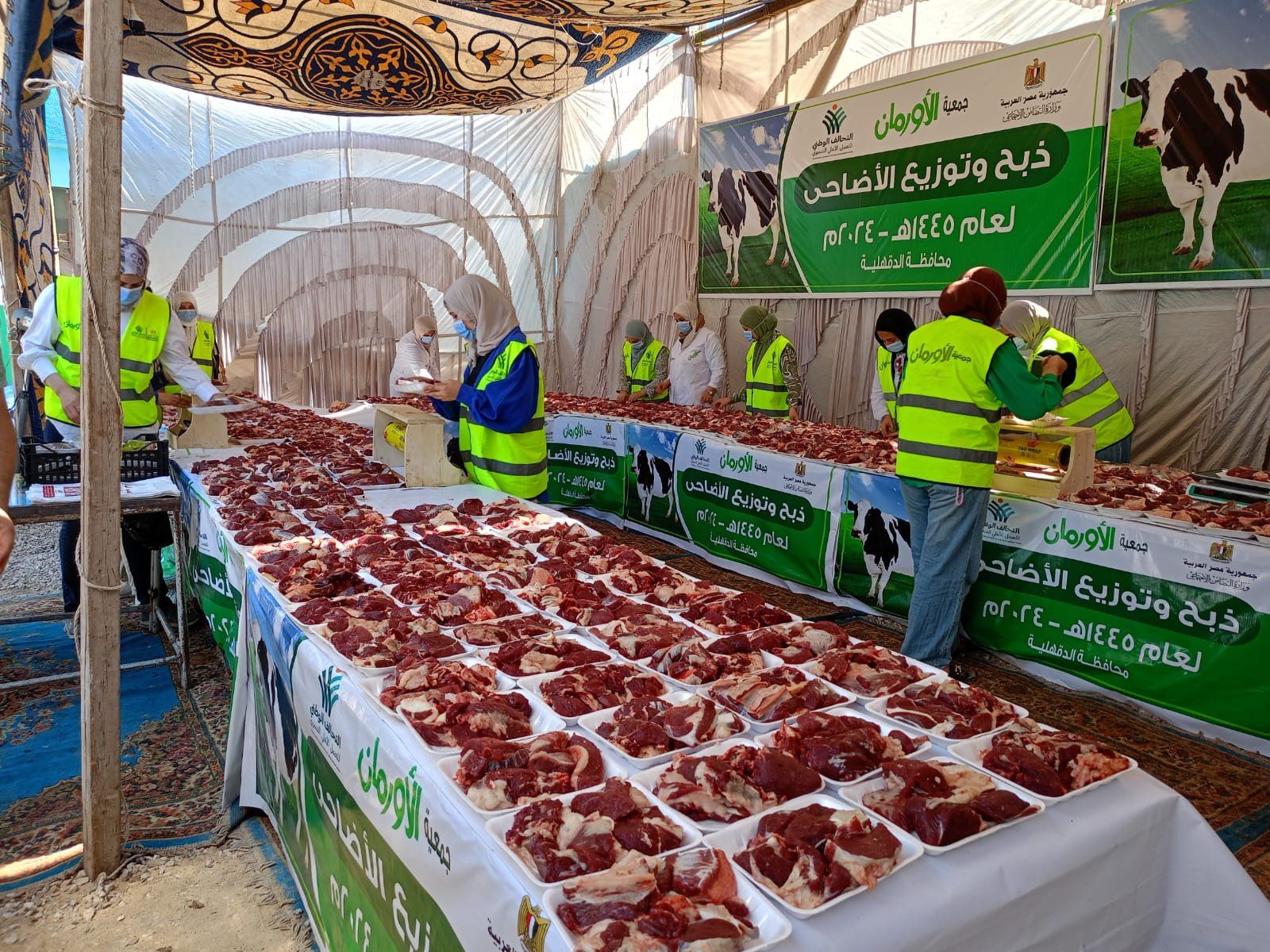 التحالف الوطني.. تجهيز صكوك الأضاحي في الدقهلية (صور)