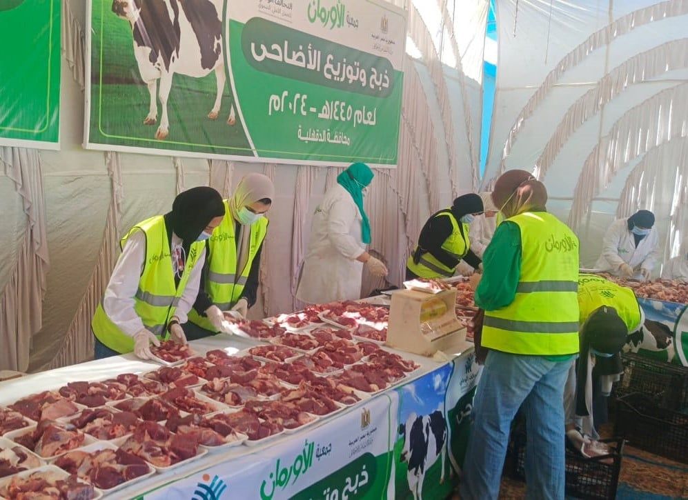 التحالف الوطني.. تجهيز صكوك الأضاحي في الدقهلية (صور)