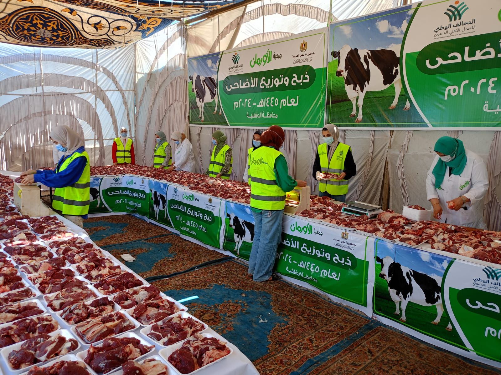 التحالف الوطني.. تجهيز صكوك الأضاحي في الدقهلية (صور)