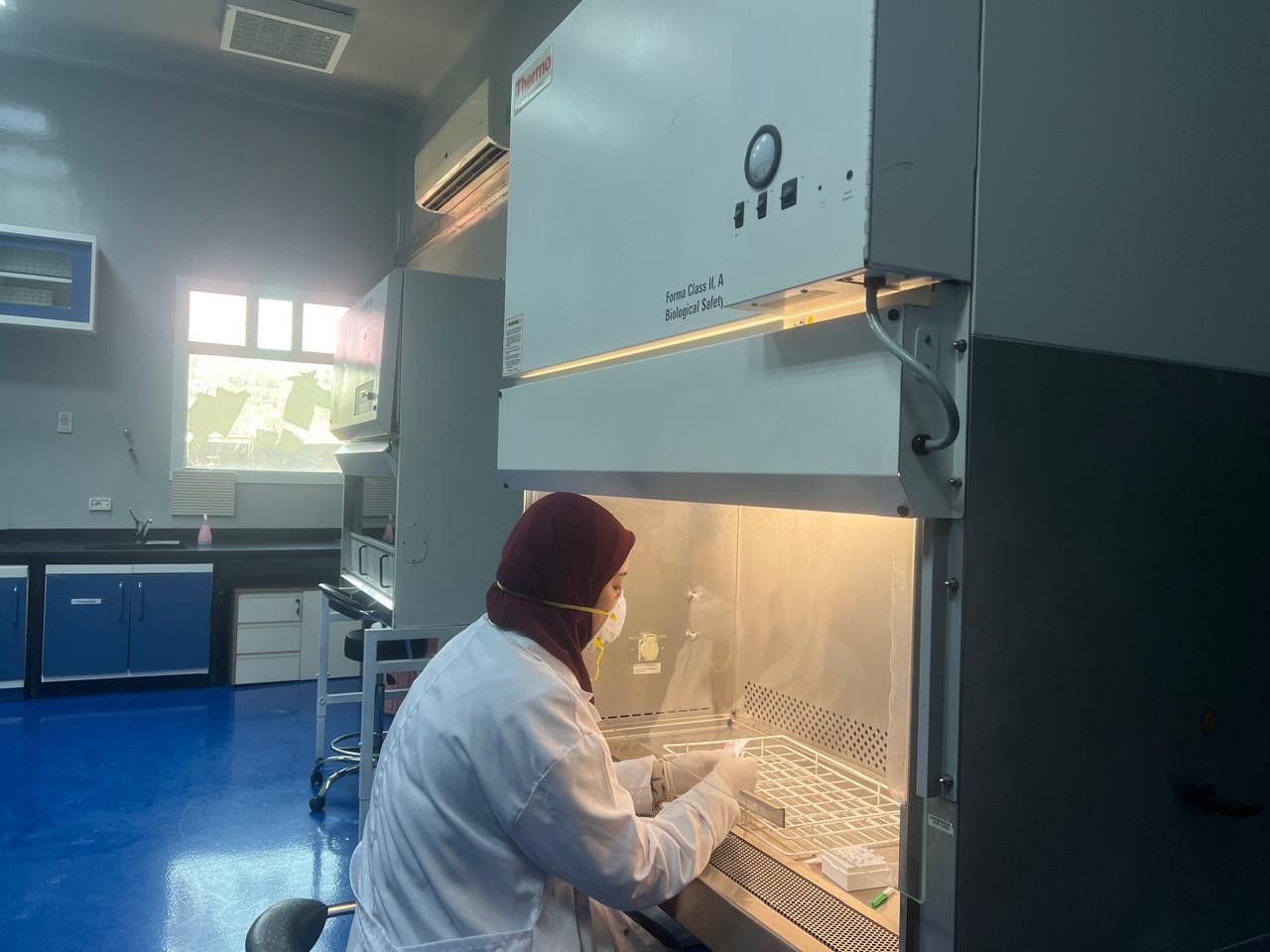 الزراعة: المجازر استقبلت 9700 أضحية في ثاني أيام عيد الأضحى