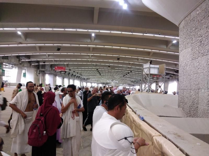 التضامن: بعثة حج الجمعيات الأهلية تجهز خطة تفويج الحجاج إلى المدينة المنورة...