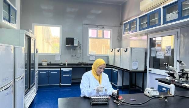 الزراعة: المجازر استقبلت 9700 أضحية في ثاني أيام عيد الأضحى