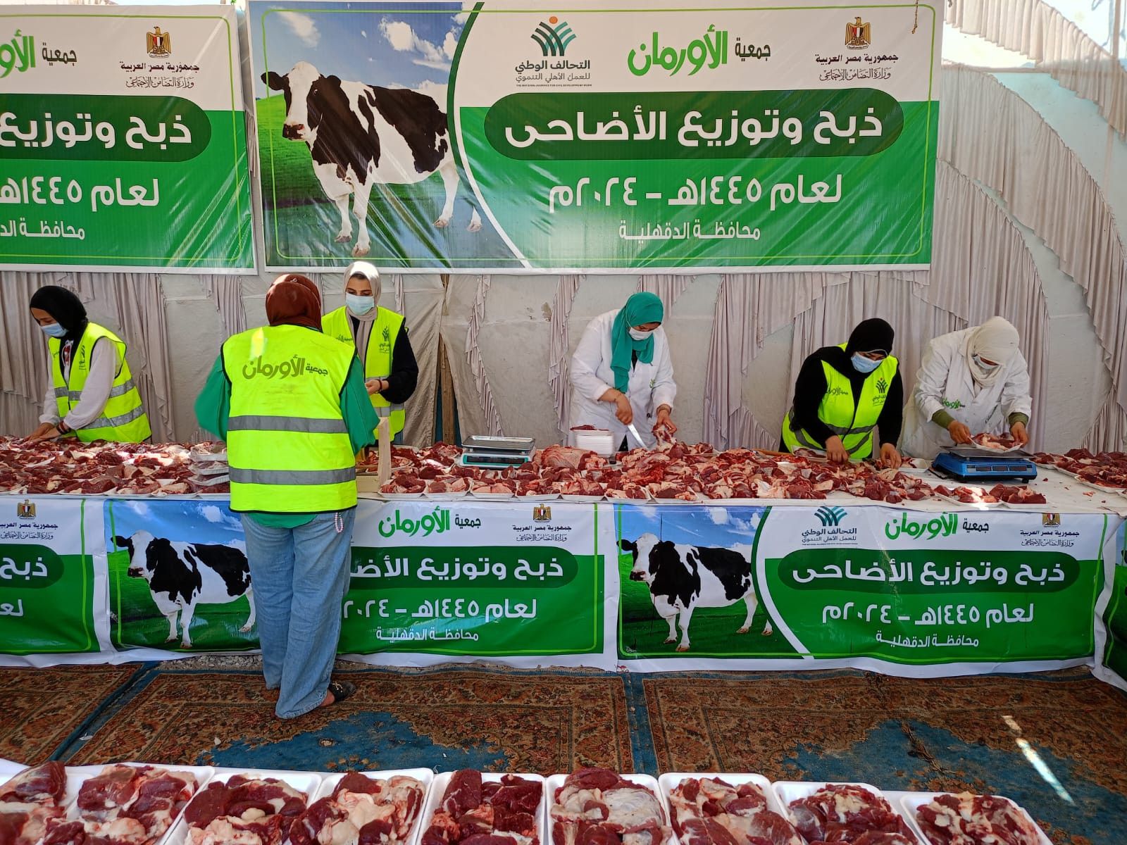 التحالف الوطني.. تجهيز صكوك الأضاحي في الدقهلية (صور)