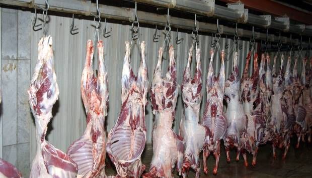 العامة للخدمات البيطرية: ذبح 27 ألف رأس ماشية منذ بداية العيد حتى الآن