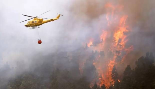 تركيا: 11 قتيلا على الأقل في حرائق غابات جنوب شرق البلاد