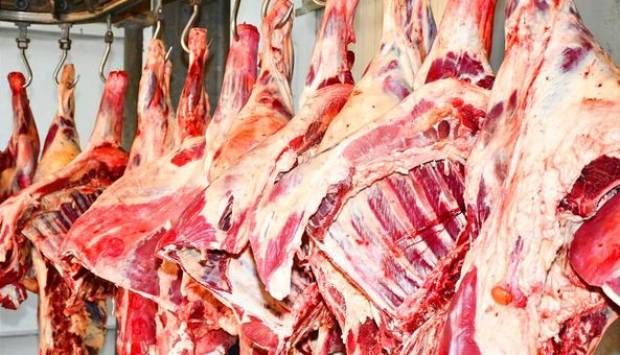 الأحد.. توزيع 10 أطنان من لحوم أضاحي الأوقاف في 5 محافظات