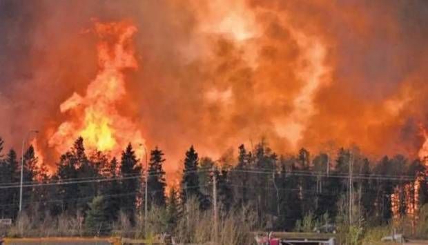 عاجل.. 5 قتلى وعشرات الجرحى في حرائق غابات جنوب شرق تركيا