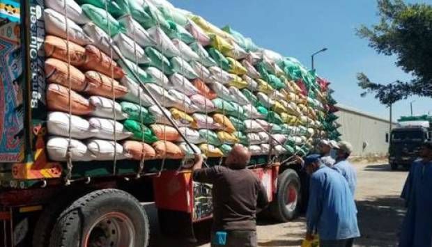 محافظ أسوان: تخطي المستهدف توريده من القمح بنسبة 119.7 %