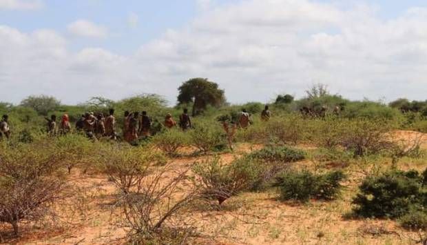 الجيش الصومالي يعلن مقتل 7 عناصر من حركة الشباب وسط البلاد