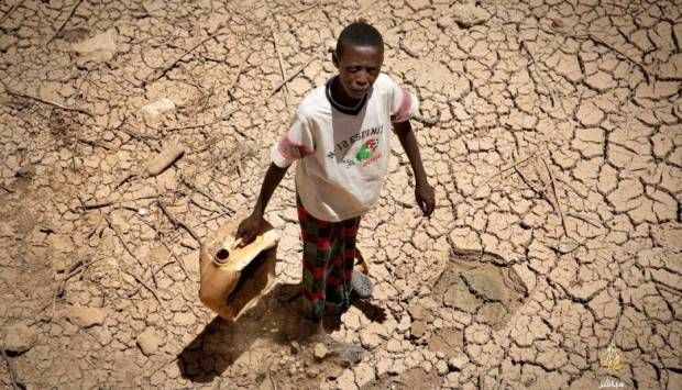 المرصد الدولي للجوع: 14 منطقة في السودان تواجه خطر المجاعة